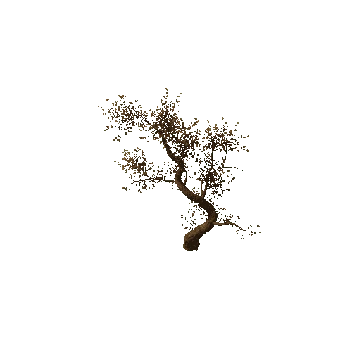 Tree_medium_03_dead_LOD0