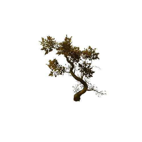 Tree_medium_03_dry