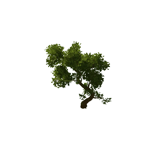 Tree_medium_03_green