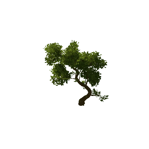 Tree_medium_03_green_LOD1