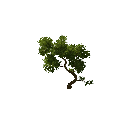Tree_medium_03_green_LOD2