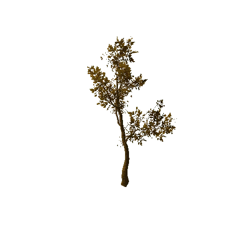 Tree_medium_04_dry_LOD1