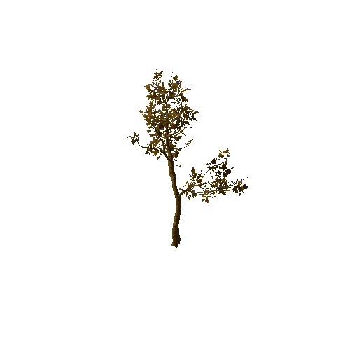 Tree_medium_04_dry_LOD2