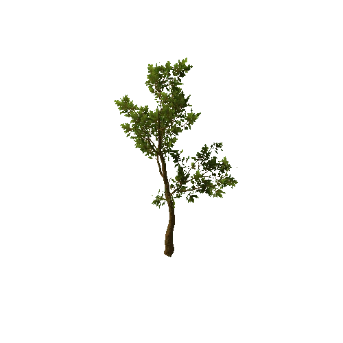 Tree_medium_04_green_LOD1