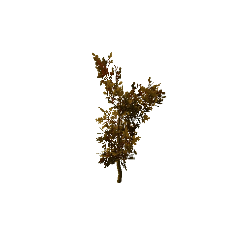 Tree_small_01_dry_LOD2