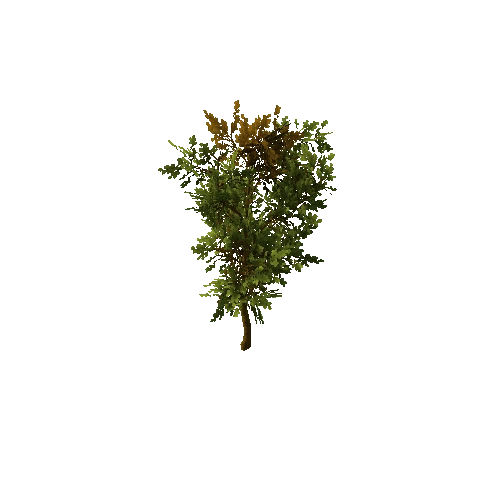 Tree_small_01_green