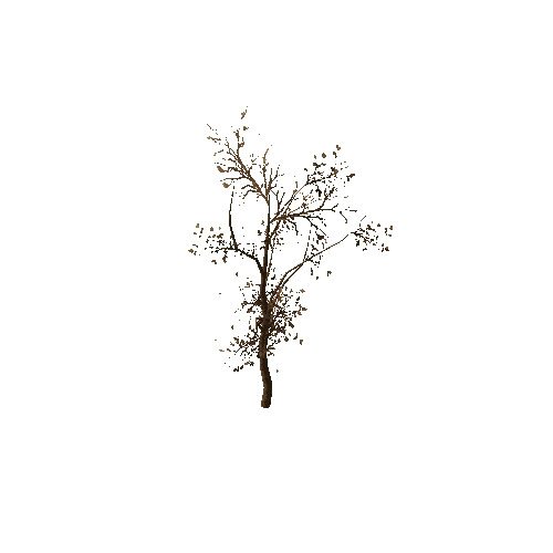 Tree_small_01_very_dry_LOD2