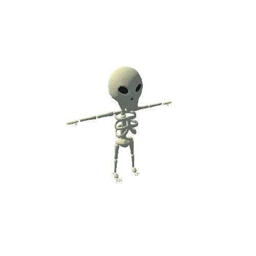 Skeleton