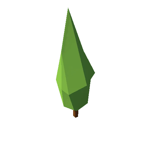 Cypress_Tree_02