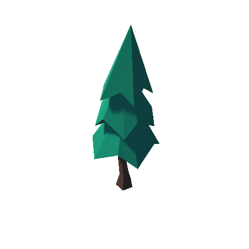 Fir_Tree_02