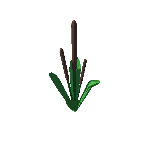 Plant_02