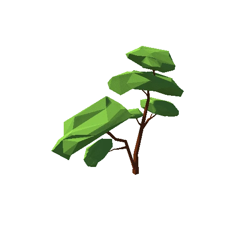 Safari_Tree_02