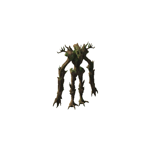 Ent