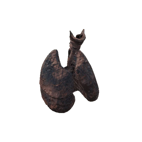 lungs