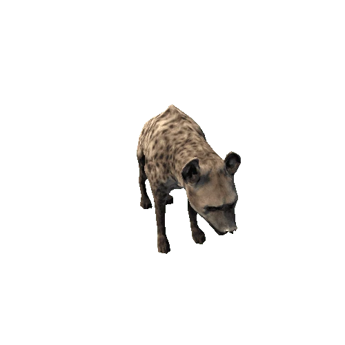 hyena_sv_rm_grey_SLP