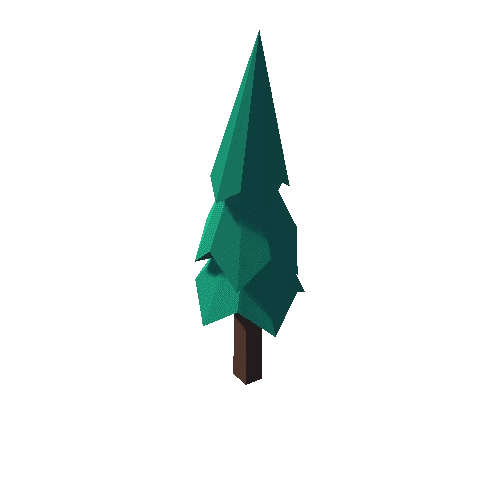 Fir_Tree_03