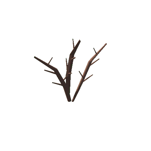 Plant_05