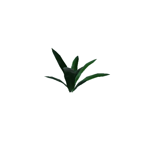 P_Plant_04