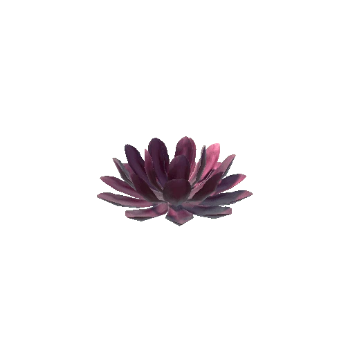 P_Waterlily_Flower_01