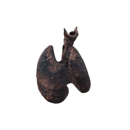 lungs