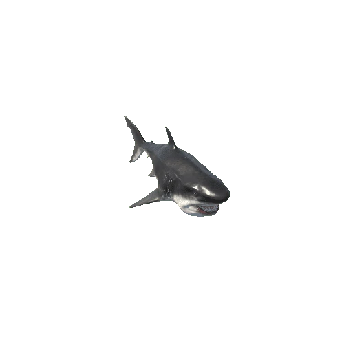 001_MEGALODON_Swim_Anim