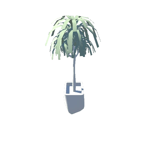 Palm2