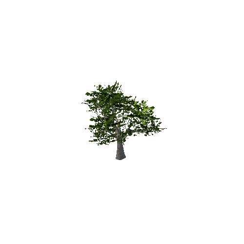 tree_a