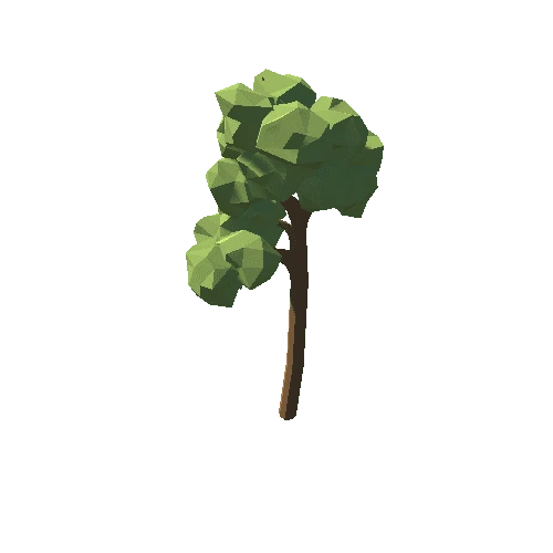 tree_16