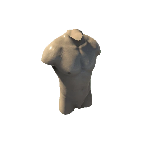 SK_Torso