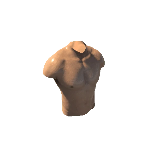 SK_Torso2