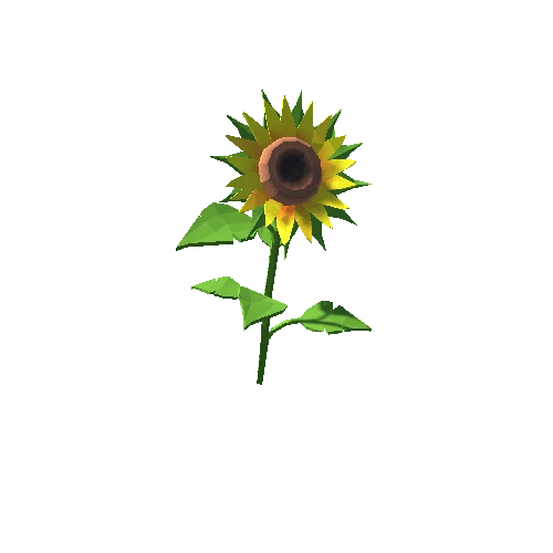 PP_Sunflower_04