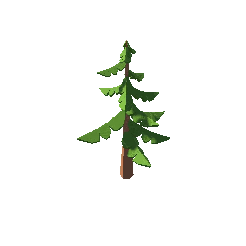 PP_Tree_02