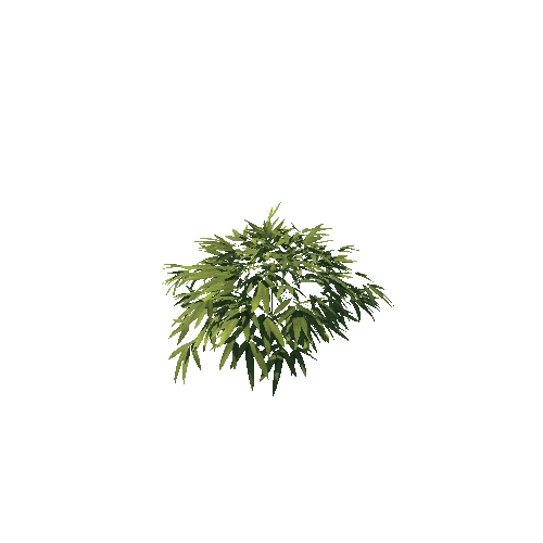 SM_Plant_Bush_Bamboo_01