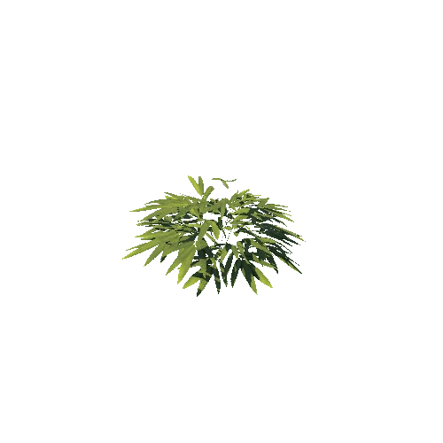 SM_Plant_Bush_Bamboo_02