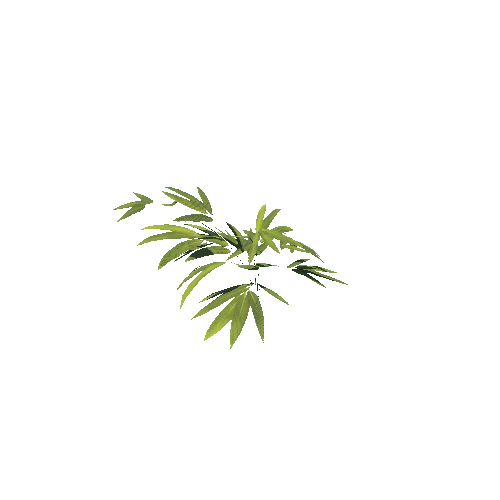 SM_Plant_Bush_Bamboo_03