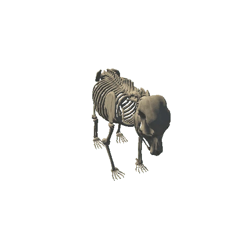 BrownBear_Y_Bones_Prefab