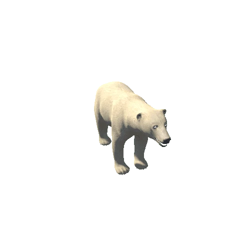 PolarBear_F_GrowMesh