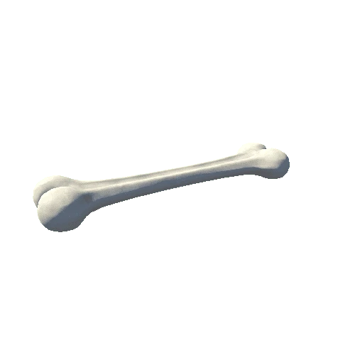 Bone