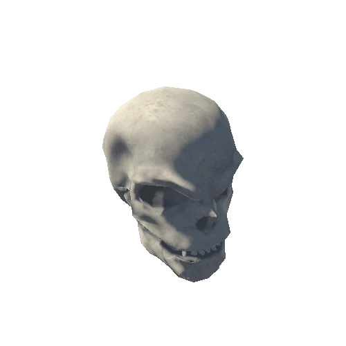 Skull