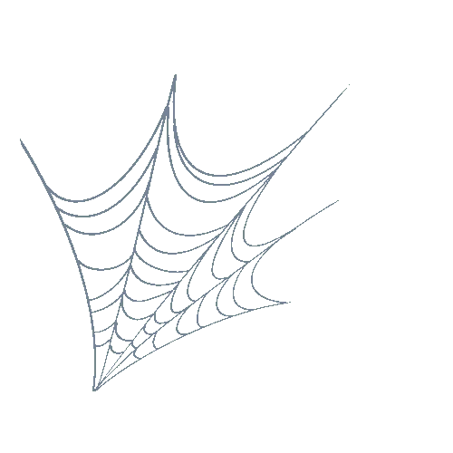 Web_1