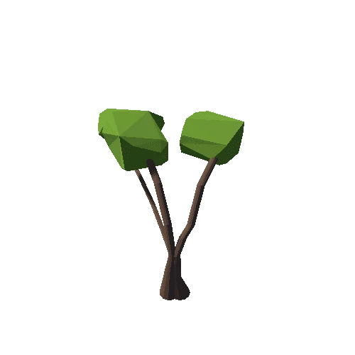 SM_tree_02