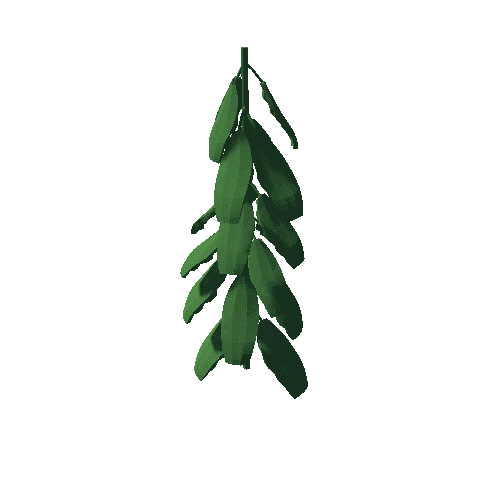 SM_tree_02