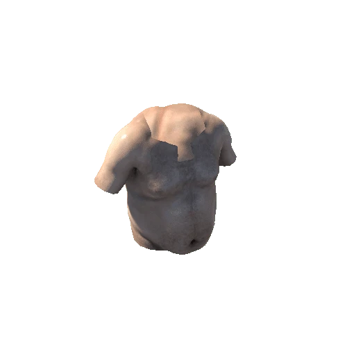 SK_Torso