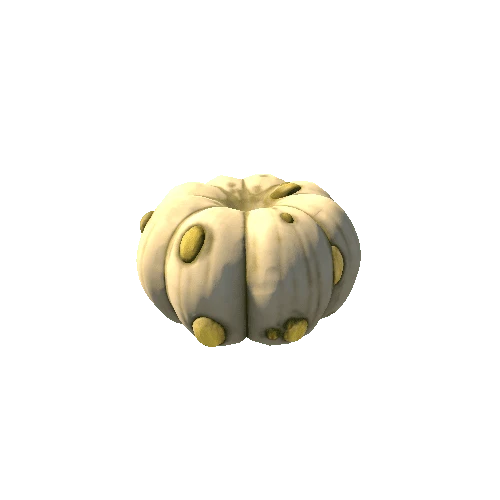 Pumpkin_Body06