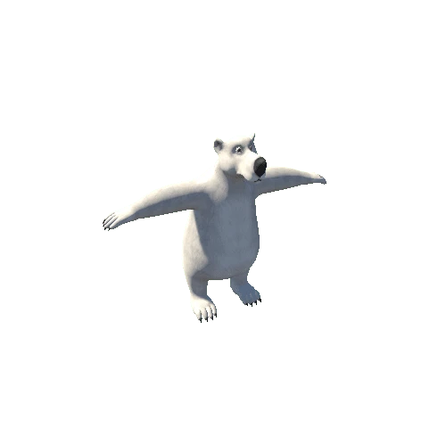 Polar_Bear