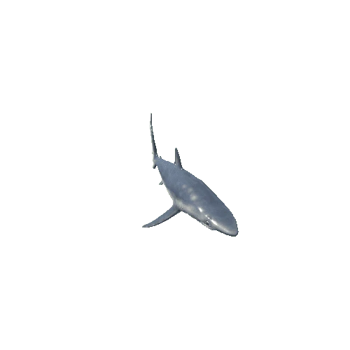 Blue_Shark_Mesh