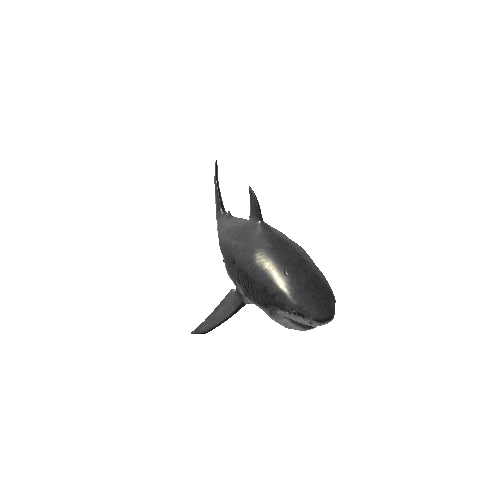 Megalodon_Mesh_M