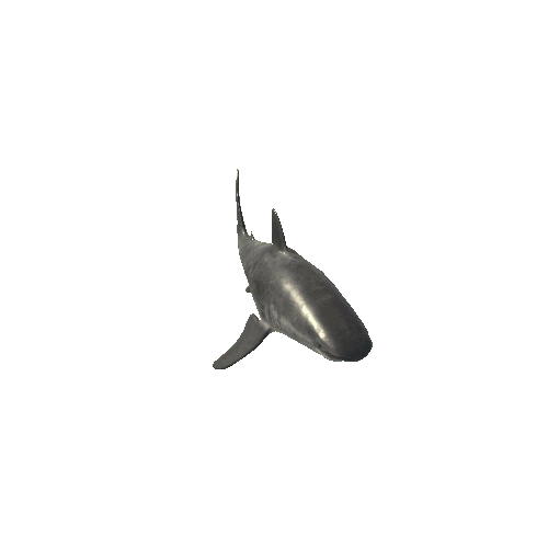 Tiger_Shark_Mesh_M