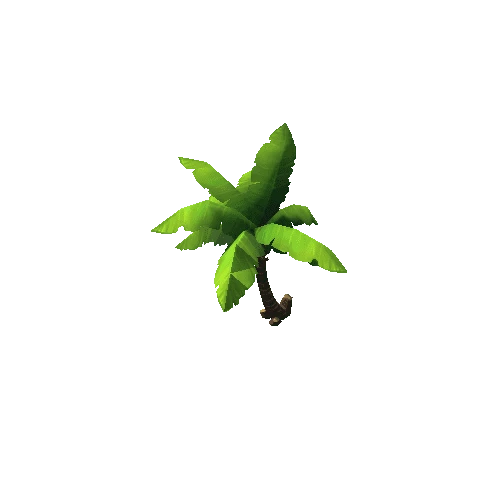 Plant_1