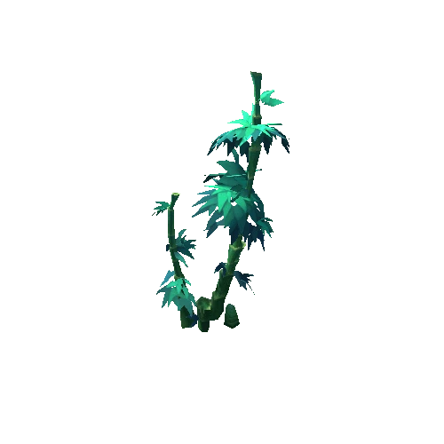 Plant_11